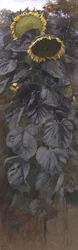 Sonnenblumen