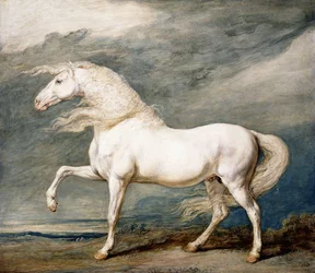 Adonis, König Georg III.s Lieblingspferd