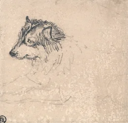 Arktischer Hund, nach links blickend