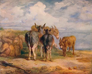 Esel, ca. 1831-1904