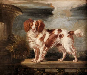Porträt von Dash, einem Lieblingsspaniel, Eigentum von Lady Frances Vane-Tempest