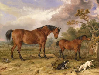 Porträt von Reformer, Blucher, Tory und Crib, Eigentum von Rowland Alston, Esq., M.P. [1836, Royal Academy of Arts, London, Ausstellungskatalog]