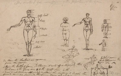 Studien der Anatomie, Maße und Schrift