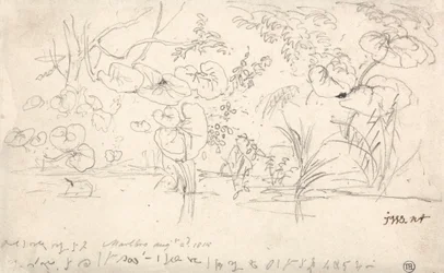 Studien von Pflanzen, 2. August 1815