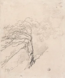 Baum auf einem Hügel
