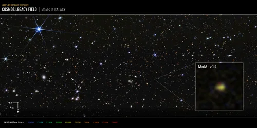 COSMOS-Feld MoM-z14 Galaxie