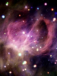 IC 348 (Webb + Chandra)