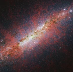 M82 Webb NIRCam – Längere Wellenlängen