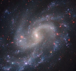 NGC 5584