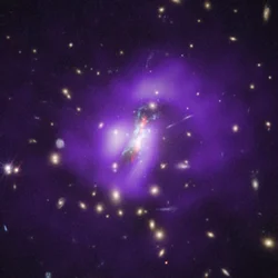 Phoenix-Cluster (Hubble, Chandra, VLA)