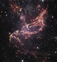 Protoplanetare Scheiben in NGC 346 (NIRCam Bild)
