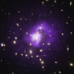 Webb kartiert das vollständige Bild, wie der Phoenix-Galaxienhaufen Sterne bildet