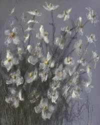 Träumende weiße Blumen