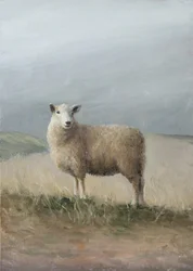 Pastorale Schafe