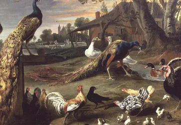 Pfau und andere Vögel in einer Landschaft