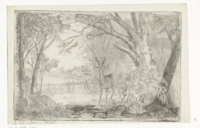 Parklandschaft mit Hirsch