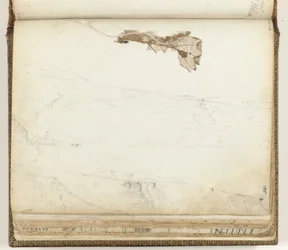 Bucht von St. Helena, getrocknetes Blatt