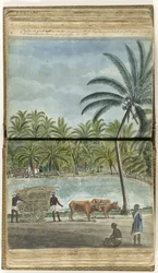 Ansicht von Ceylon mit einem Ochsenkarren, einem hockenden Singhalesen und einem Schwarzen Gerichtsdiener
