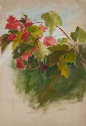 Weinblätter