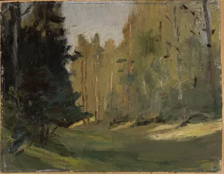 Mariino - Lichtung im Wald