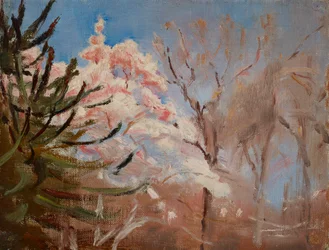 Sudak (Frühling)