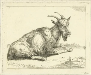 Ziege