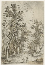 Waldweg