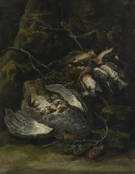 Ein Rebhuhn und kleine Wildvögel, 1650er Jahre