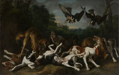 Kampf zwischen Hunden und Wölfen