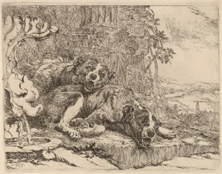 Zwei Mastiffs neben einem Brunnen