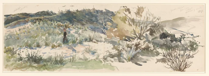 Dünenlandschaft