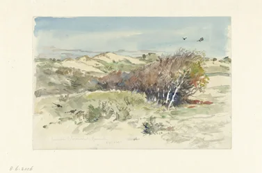 Dünenlandschaft zwischen Bloemendaal und IJmuiden