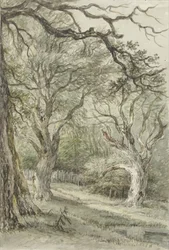 Waldansicht