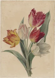 Tulpenstrauß