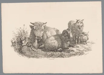 Kuh, Widder und zwei Schafe (Beesten Studien door J. Kobell naar Paul Potter Nr. 1)