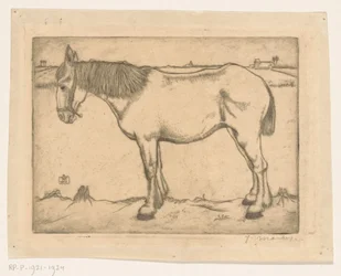 Pferd