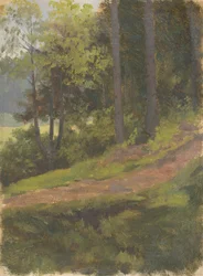 Pfad am Waldrand