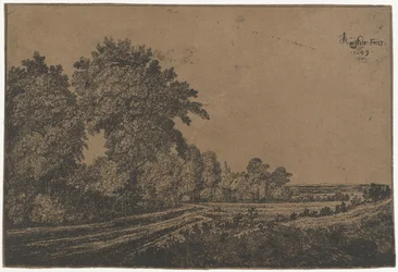 Landweg mit Bäumen