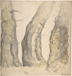 Studie von drei alten knorrigen Bäumen, 1660