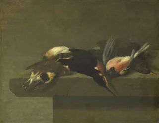 Tote Vögel