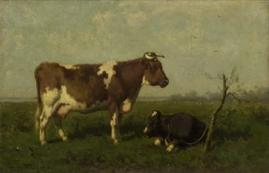 Kuh mit ihrem Kalb auf einer Wiese