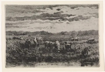 Landschaft mit Schafen