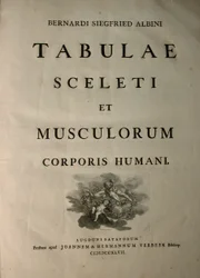 Albinus I, Titelseite, aus 
