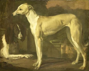 Porträt eines Windhunds und Spaniels