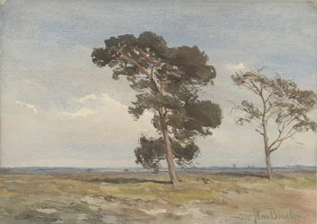 Blick auf die Heide mit zwei Bäumen