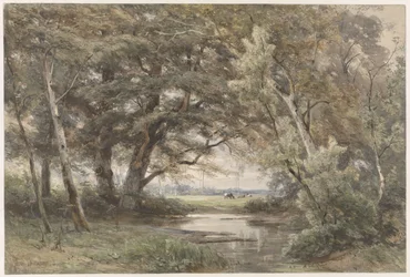 Wasser unter Bäumen am Ende eines Waldes