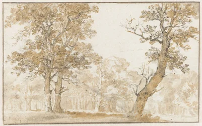 Haagse Bos