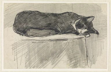 Schlafende Katze