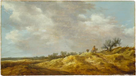 Pfad durch die Dünen