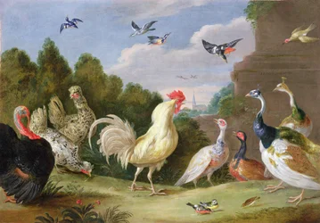 Waldlandschaft mit einem Hahn, einem Truthahn, Hennen und anderen Vögeln, 17. Jahrhundert